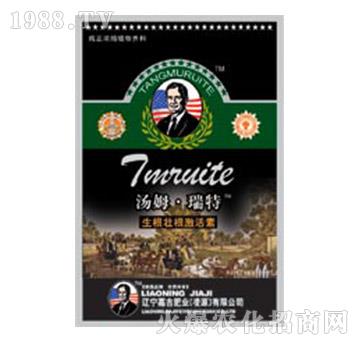 �����Ѹ�����-��ķ����