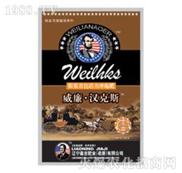 �����ɫ�����_ʩ��-��