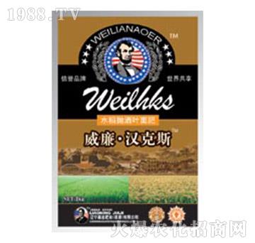 ˮ�������~���-������