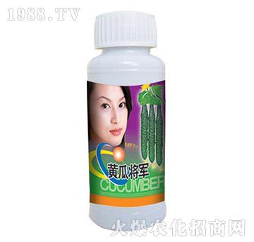 �S�ό�܊-�μ�