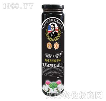 �޻����þ��A��-��ķ��