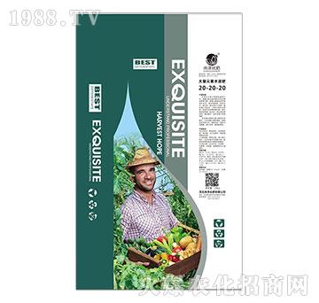 ����Ԫ��ˮ�ܷ�20-20-20-�Нɻ���