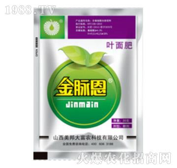 ��ֲ���~���-���}��-����Ƽ�