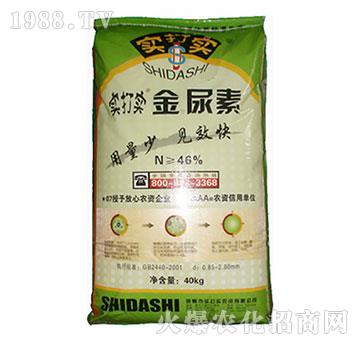 ������-����?q��)? />
                                </div>
                            </div>
                            
                            <style type=