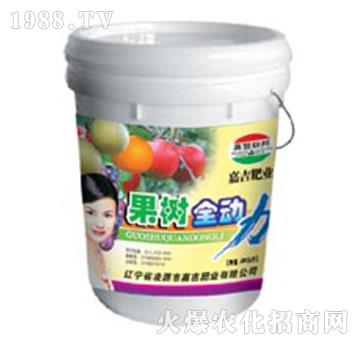 ����(sh��)ȫ��(d��ng)��-�μ�