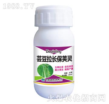 �|�����L(zh��ng)���v�`-���䌍(sh��)�I(y��)