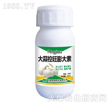 ������������-���䌍(sh��)�I(y��)