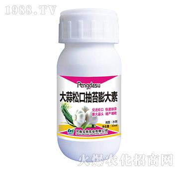 �����ɿڳ�̦�����-���䌍(sh��)�I(y��)