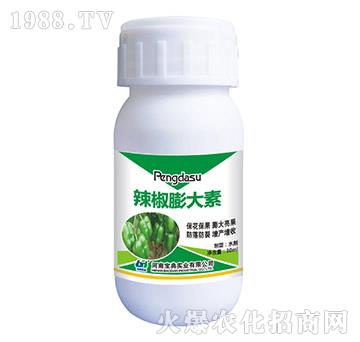 ���������-���䌍(sh��)�I(y��)