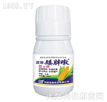 �������ֶ�-���䌍�I(y��)