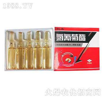 5%������������Q�ػ���-�����r(n��ng)�I(y��)