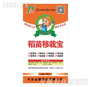 �������Ԍ�-���^��-����