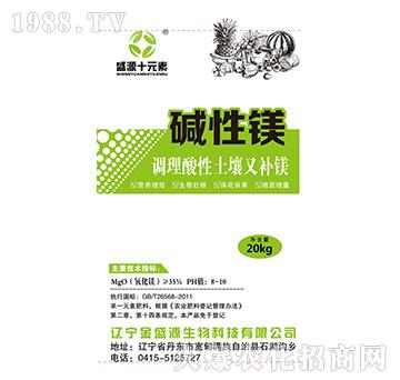 �A���V-ʢԴʮԪ��-����