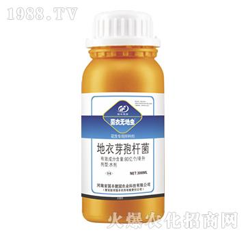 �������ð�N��-���o���x-��(gu��)�S���@