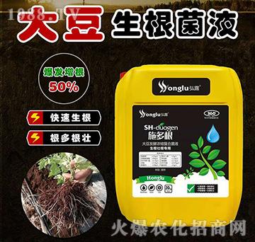 �����Ѹ���(zhu��n)�ô󶹰l(f��)�͝�s��(f��)�Ͼ�Һ-ʩ���-���r(n��ng)��¶