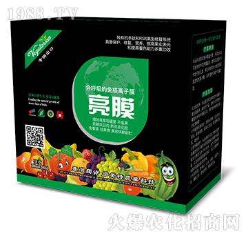 ��(hu��)�����������x��Ĥ-��Ĥ-������