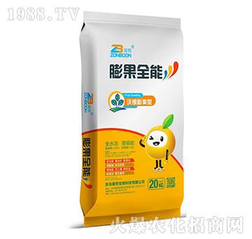 �ָ������-չ������