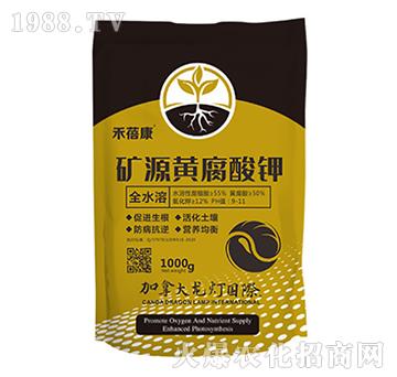 �VԴ�S�����-������-����