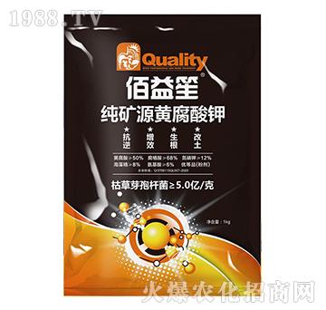 ���VԴ�S�����-������-�����r�I(y��)