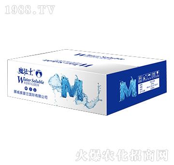 ����Ԫ��ˮ�ܷ���-ħ��ʿ-����