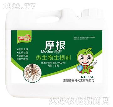 ΢����������-Ħ��-������