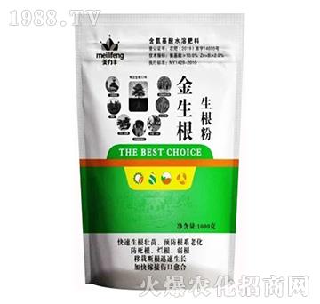 ������-�����S