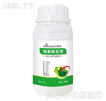 ��(x��)���x�-������