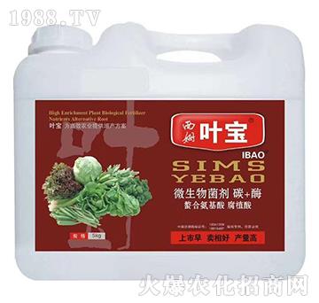 ΢�������-�~��-��ķ����