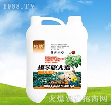 ���o�����-ֲ��-�S�r�r��