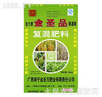 ��(f��)�����-��ʥ��