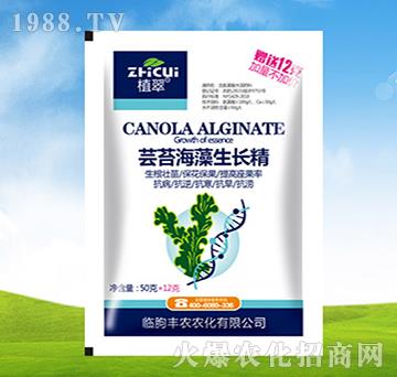 �|̦�������L��-ֲ��-�S�r(n��ng)�r(n��ng)��