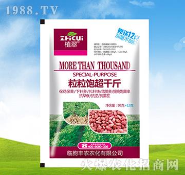 �����ǧ��-ֲ��-�S�r(n��ng)�r(n��ng)��