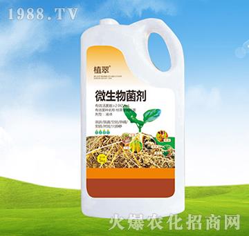 ΢�������-ֲ��-�S�r�r��