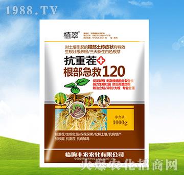 ���ز��������120-ֲ��-�S�r�r��