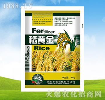 ���S��-�S�r(n��ng)�r(n��ng)��