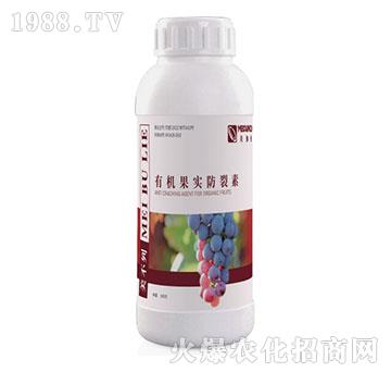 �ЙC����������-������-��٤�z