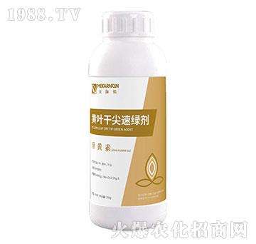 �S�~�ɼ��پG��-���S��-��٤�z