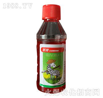 30%�ݸ�좮������}-���-�й���