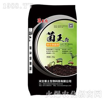 ������΢�������-ī��