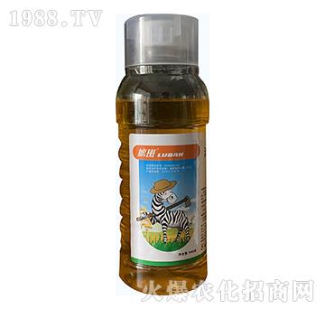 32.4%���ᡤ�ݸ��-���-�й���