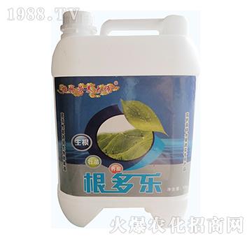 ������(l��)-���W����