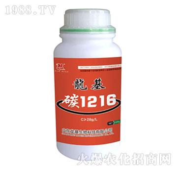 ����̼1216-��������