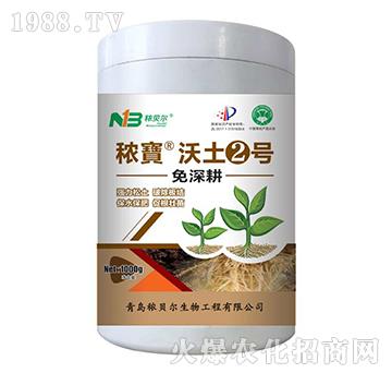 �������������2̖-��ؐ��