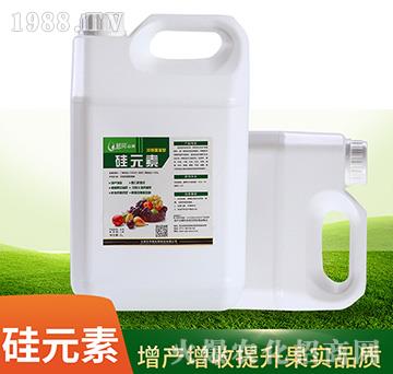 �r��(r��n)��Ԫ���~���-�r(n��ng)������