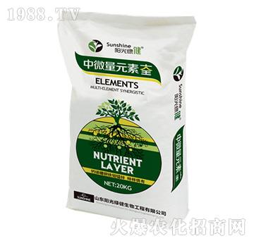 ��Ԫ�ع��ܷ�-��΢��Ԫ�ش�ȫ-�(y��ng)��G��