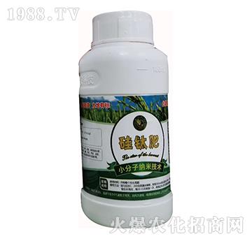 С���Ӽ{�׹�⁷�-�ؘ��r�I(y��)