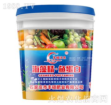 ���徫���~����-�S�T�ʘI(y��)