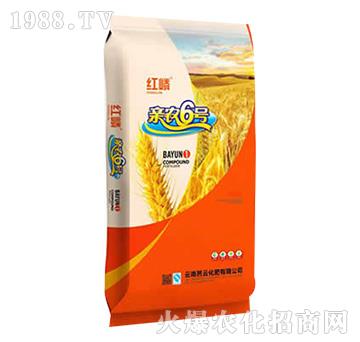 �H�r(n��ng)6̖-�t��-���ƻ���