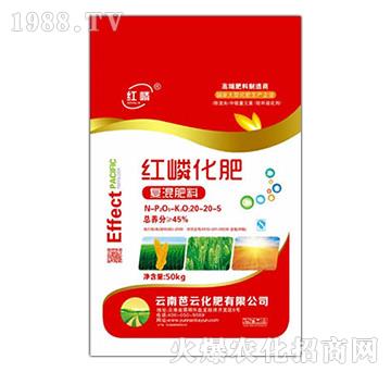 ��(f��)�����20-20-5-�t��-���ƻ���