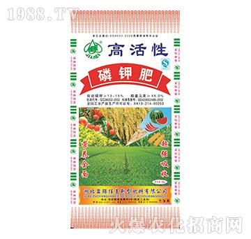 �߻�����⛷�-����